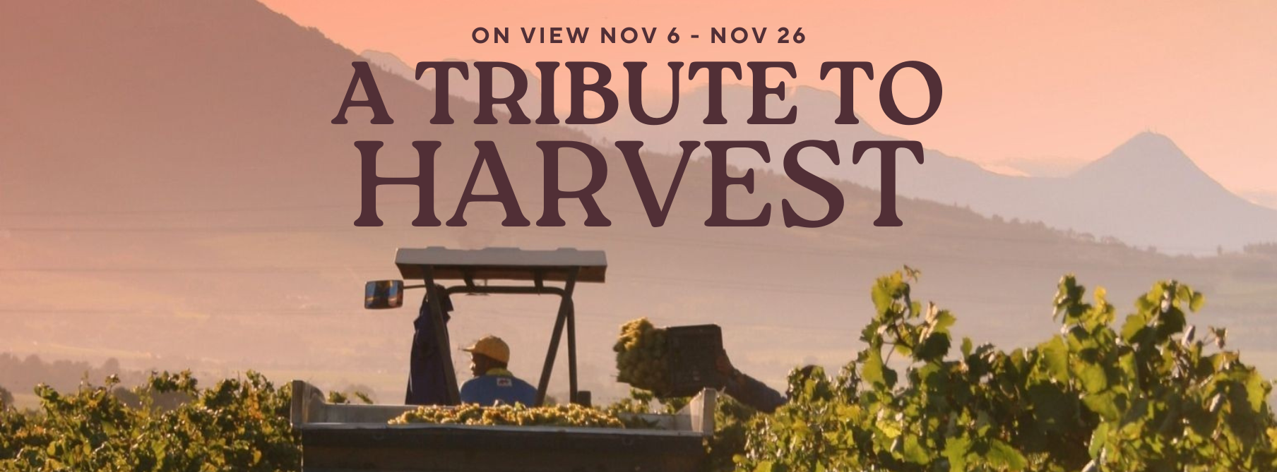 Web Banner OV TTH NOV6